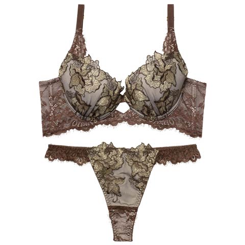 12/19新作!【Tバック】【Reinest】シャルムローズレース育乳脇高★魔法のブラジャー&バック透けTバックショーツ[推し](ブラウン-A65/ショーツM)