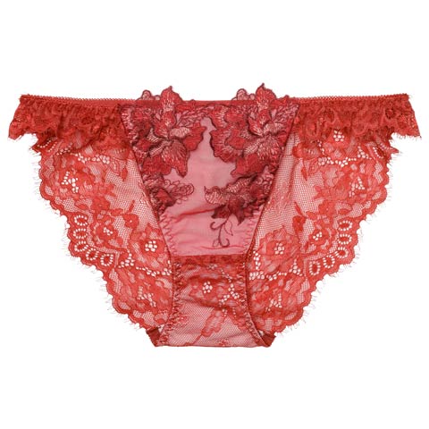 12/19新作!【Reinest】シャルムローズレースバック透け選べるショーツ[おそろいショーツ](レッド/フルバック-M)