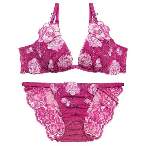 4/17新作!【Reinest】リュクスローズエンブロイダリーブラジャー&バック透けフルバックショーツ[推し](ピンク-A65/ショーツM)