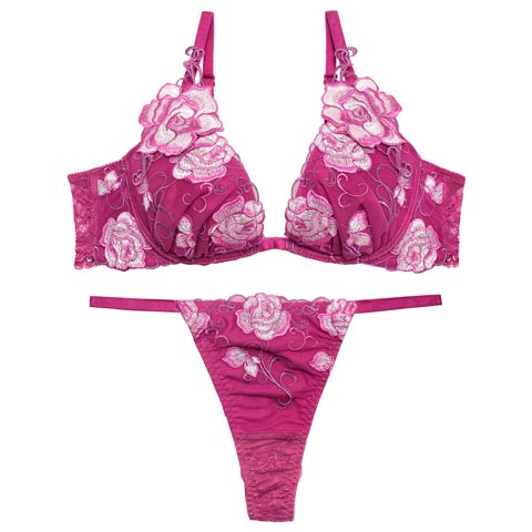 4/17新作!【Tバック】【Reinest】リュクスローズエンブロイダリーブラジャー&バック透けTバックショーツ[推し](ピンク-A65/ショーツM)