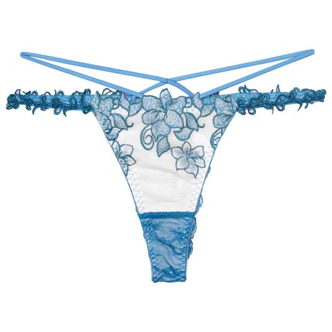 8/13新作!【Reinest】エトワールアマリリスバック透け選べるショーツ[おそろいショーツ](ブルー/Tバック-M)