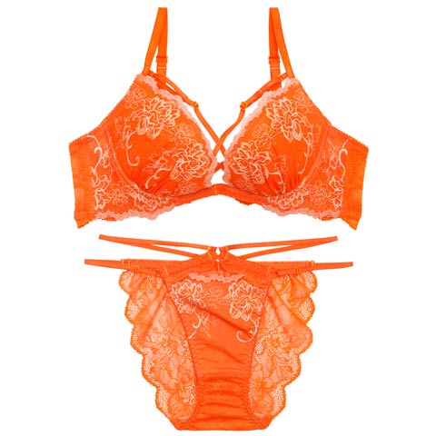 4/27新作!【Reinest】グラマラスフルールコードブラジャー&バック透けフルバックショーツ[推し](オレンジ-A65/ショーツM)