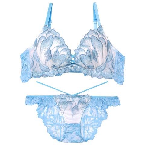 11/15再販!【Reinest】ルミエールペタルレーシーブラジャー&バック透けフルバックショーツ[推し](サックス-A65/ショーツM)