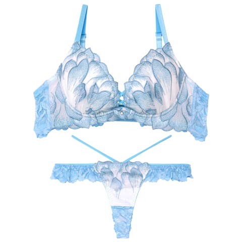 11/15再販!【Tバック】【Reinest】ルミエールペタルレーシーブラジャー&バック透けTバックショーツ[推し](サックス-A65/ショーツM)