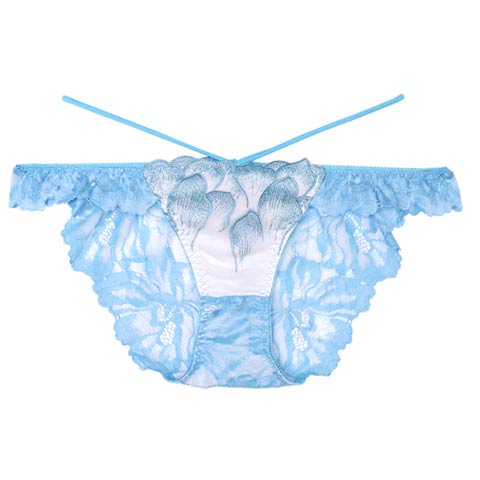 7/2新作!【Reinest】ルミエールペタルレーシーバック透け選べるショーツ[おそろいショーツ](サックス/フルバック-M/ショーツM)