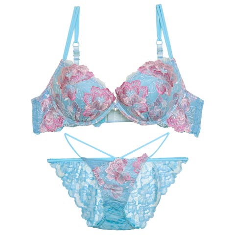 8/22新作!【Reinest】【永尾まりや着用】シャルムピオニーブルームブラジャー&バック透けフルバックショーツ[推し](サックス-A65/ショーツM)