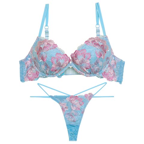 8/22新作!【Tバック】【Reinest】【永尾まりや着用】シャルムピオニーブルームブラジャー&バック透けTバックショーツ[推し](サックス-A65/ショーツM)