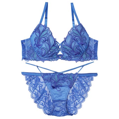 7/23新作!【Reinest】【永尾まりや着用】シャイニーフェザーリーフブラジャー&バック透けフルバックショーツ[推し](ブルー-A65/ショーツM)