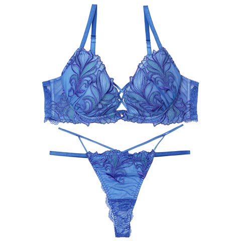 7/23新作!【Tバック】【Reinest】【永尾まりや着用】シャイニーフェザーリーフブラジャー&バック透けTバックショーツ[推し](ブルー-A65/ショーツM)