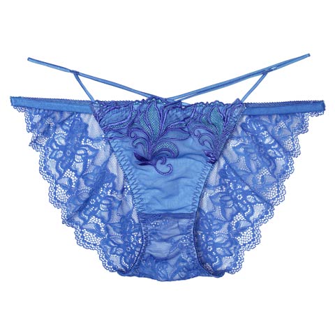 7/23新作!【Reinest】シャイニーフェザーリーフバック透け選べるショーツ[おそろいショーツ](ブルー/フルバック-M)