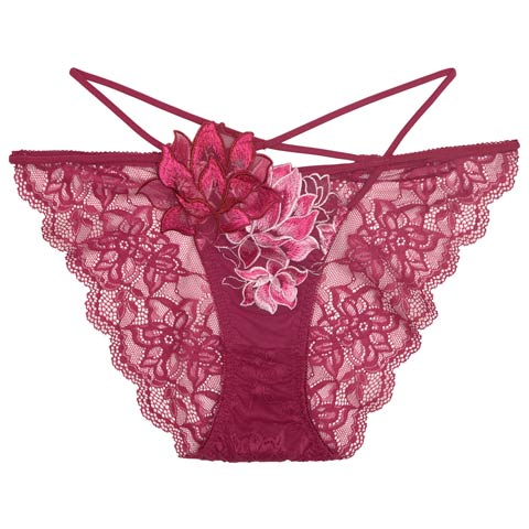 8/25新作!【Reinest】グラマラスピオニーコードバック透け選べるショーツ[おそろいショーツ](ピンク/フルバック-M)