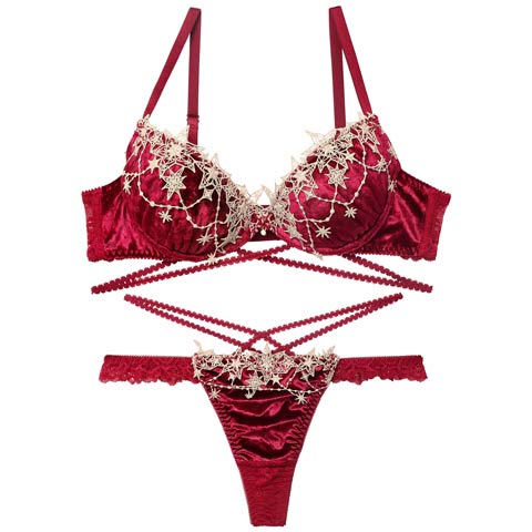 12/5再販!【Tバック】【Reinest】【永尾まりや着用】ノエルエトワールコードブラジャー&バック透けTバックショーツ[推し](レッド-A65/ショーツM)