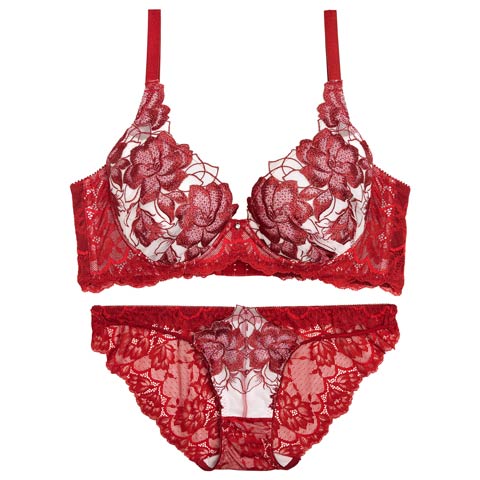 11/21新作!【Reinest】グラマラスピオニーカットストリング育乳脇高★魔法のブラジャー&バック透けフルバックショーツ[推し](レッド-A65/ショーツM)