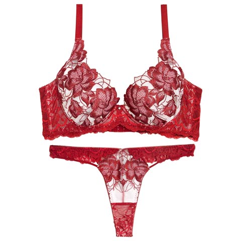 11/21新作!【Tバック】【Reinest】グラマラスピオニーカットストリング育乳★魔法のブラジャー&バック透けTバックショーツ[推し](レッド-A65/ショーツM)