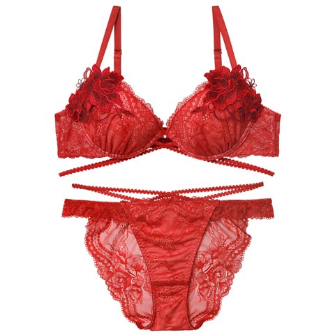 12/10新作!【永尾まりや着用】【Reinest】マジェスティックコードレースブラジャー&バック透けフルバックショーツ[推し](レッド-A65/ショーツM)