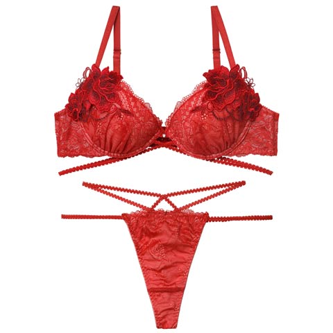 12/10新作!【Tバック】【永尾まりや着用】【Reinest】マジェスティックコードレースブラジャー&バック透けTバックショーツ[推し](レッド-A65/ショーツM)