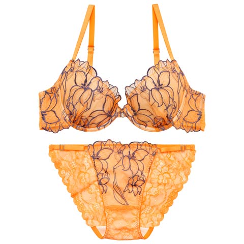 4/1新作!【Reinest】【永尾まりや着用】グラマラスビビッドブロッサムブラジャー&バック透けフルバックショーツ[推し](オレンジ-A65/ショーツM)