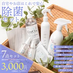 [7点SET]プレミアム除菌･マスク対策セット