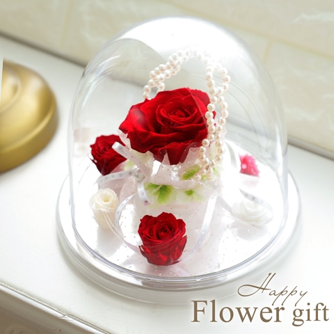 ラウンドドーム