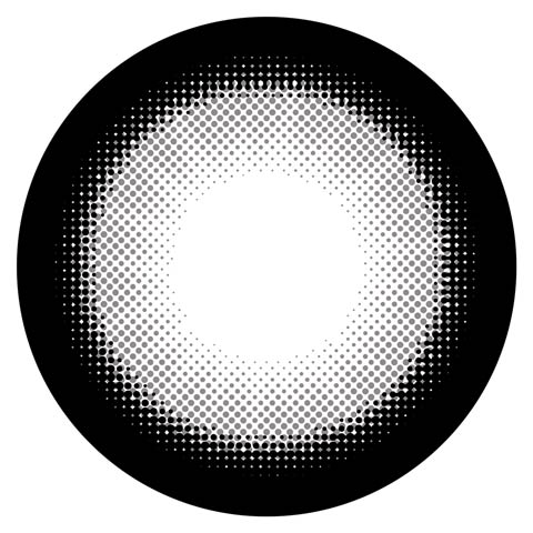 10/6新作!せいせい（田向星華）プロデュース/RESAY ワンデーカラコン 【1day/度なし/15mm】(15㎜/シルバーウルフ-度なし)