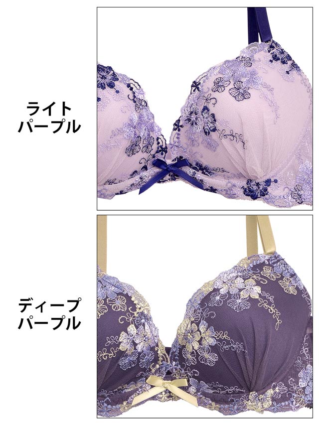 レトロフルールエンブロイダリーブラジャー&フルバックショーツ
