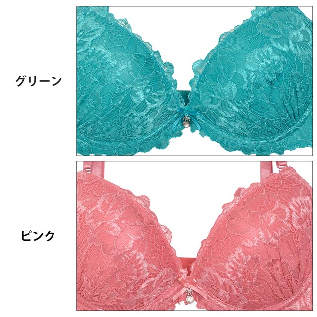 ソフトフラワー総レースブラジャー＆バック透けフルバック
