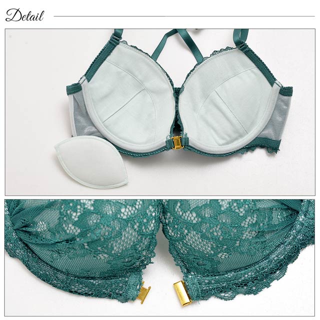 bbランジェリー E/Fサイズ]シースルーレースフロントホックブラジャー&フルバック