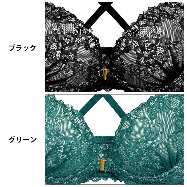 E/Fサイズ]シースルーレースフロントホックブラジャー&フル