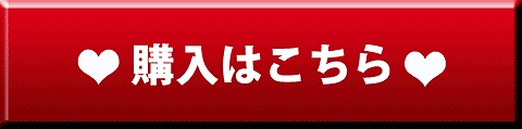 購入はこちら